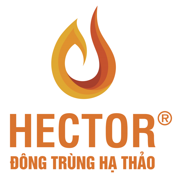 Hector – Vietnam Startup Day 2022